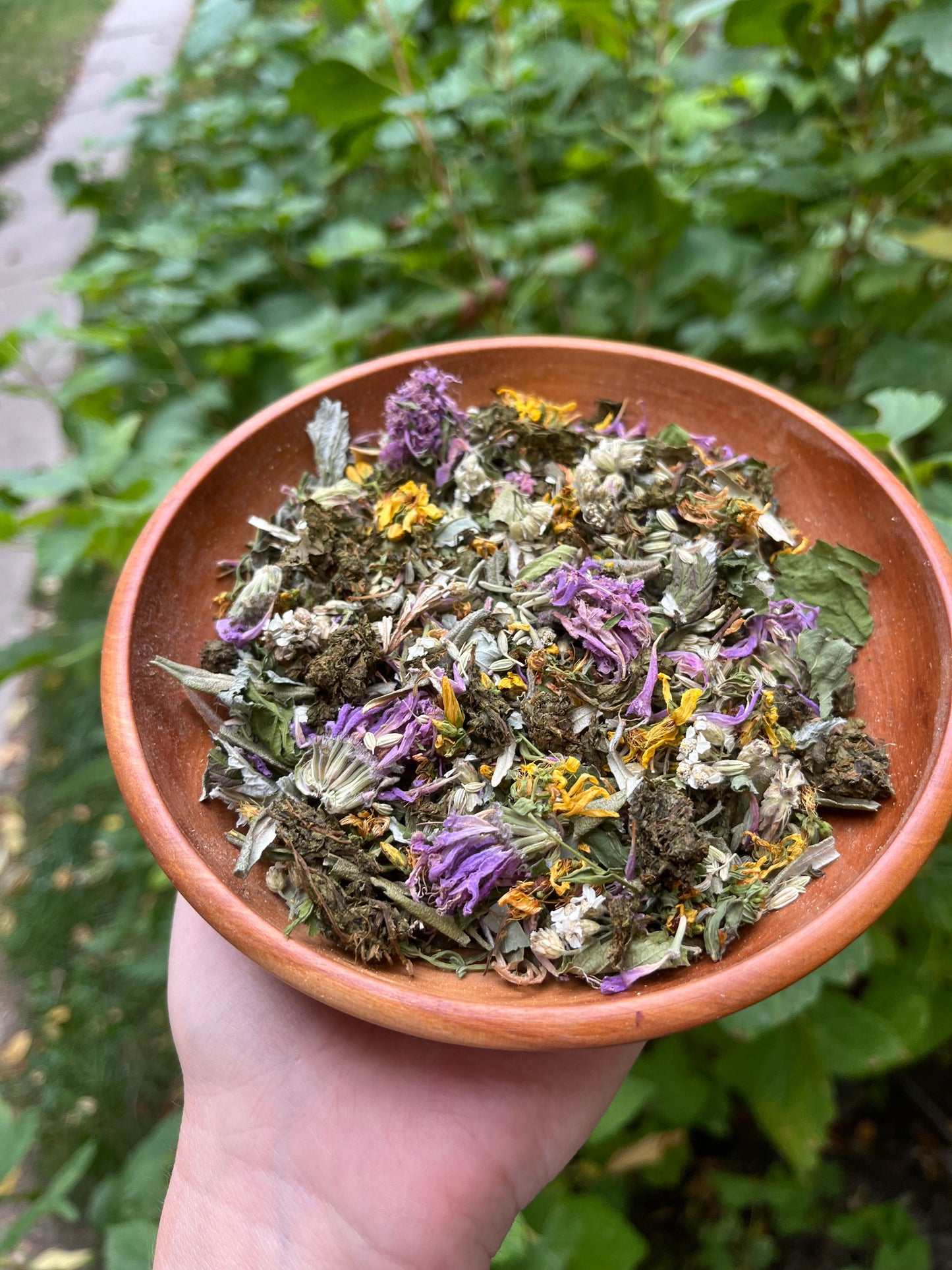 Wild Mountain Herbs Tea